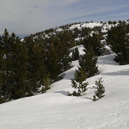 Apartment Face Aux Pistes Greolieres les Neiges Zewnętrze zdjęcie