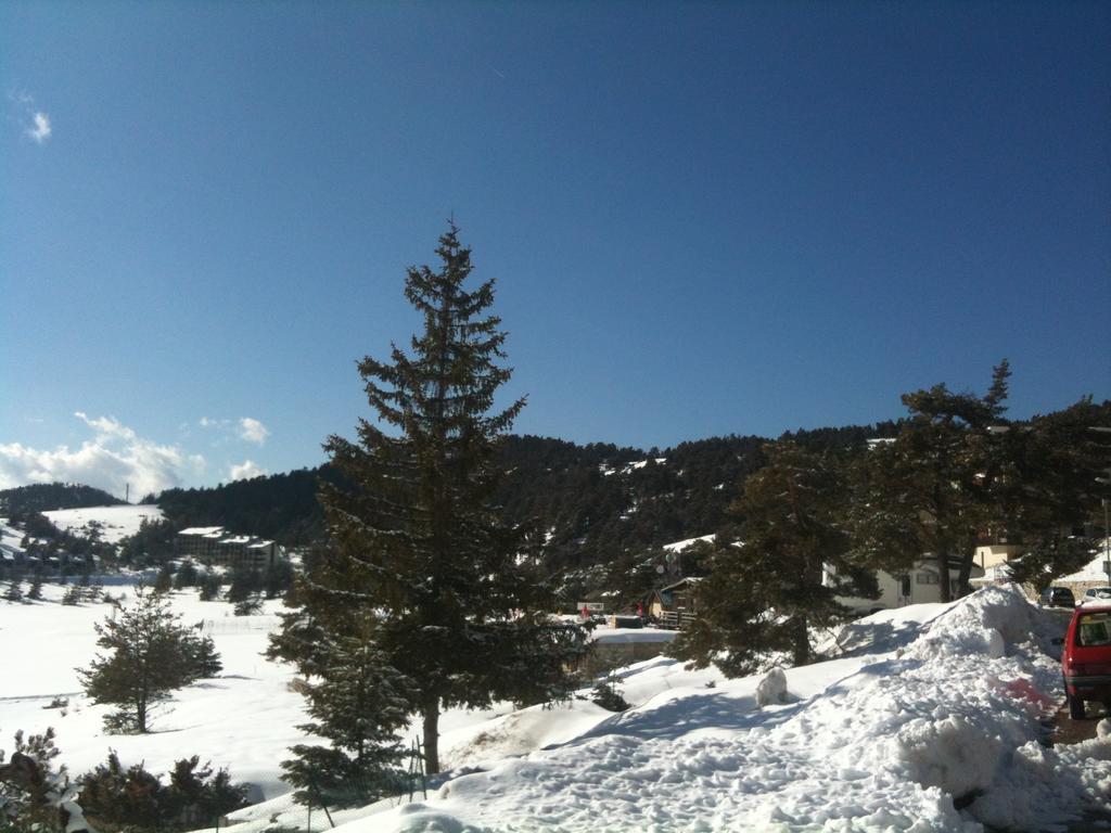 Apartment Face Aux Pistes Greolieres les Neiges Zewnętrze zdjęcie
