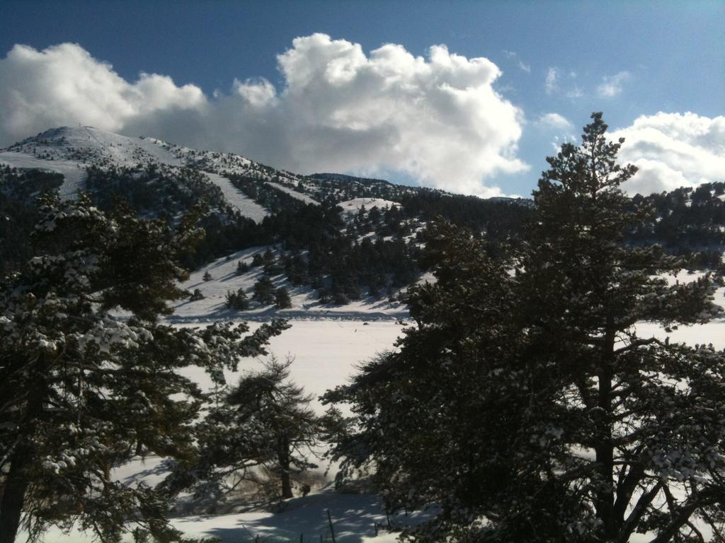 Apartment Face Aux Pistes Greolieres les Neiges Zewnętrze zdjęcie