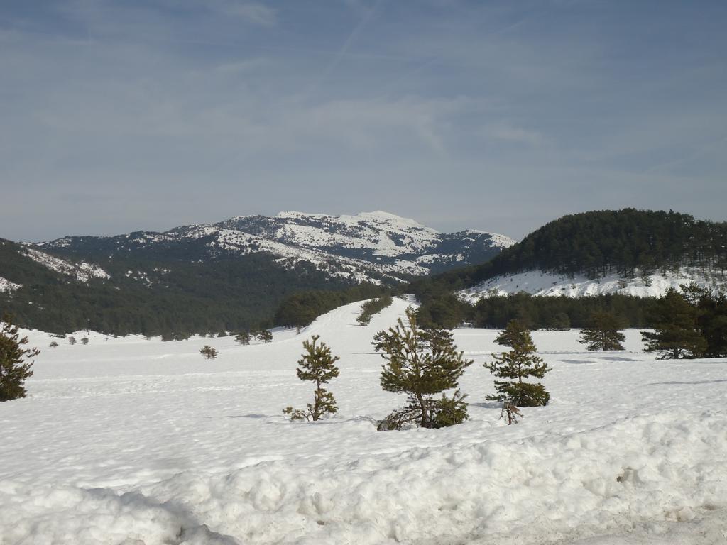 Apartment Face Aux Pistes Greolieres les Neiges Zewnętrze zdjęcie