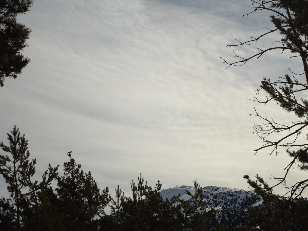 Apartment Face Aux Pistes Greolieres les Neiges Zewnętrze zdjęcie