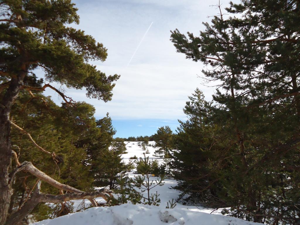 Apartment Face Aux Pistes Greolieres les Neiges Zewnętrze zdjęcie