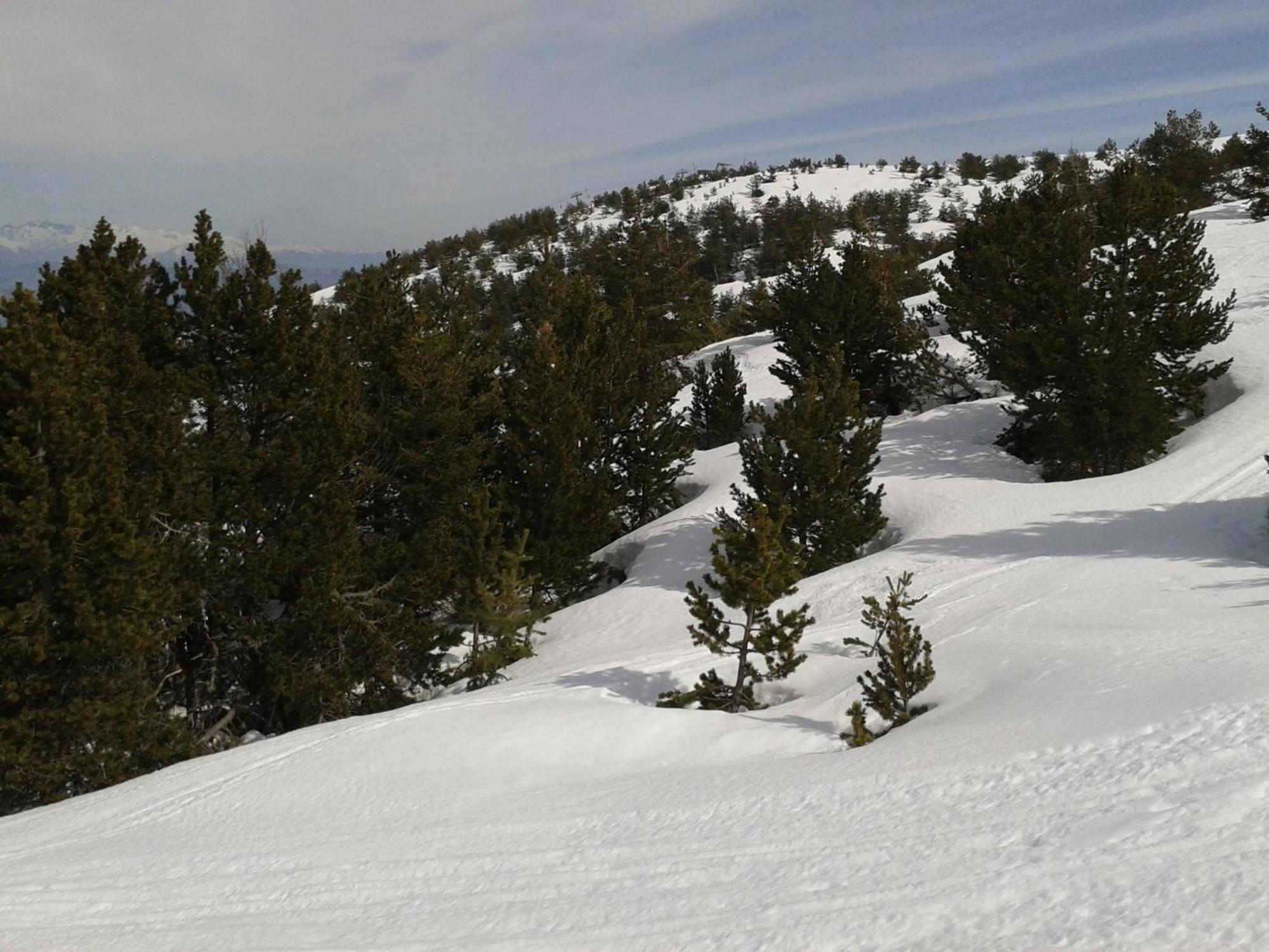 Apartment Face Aux Pistes Greolieres les Neiges Zewnętrze zdjęcie