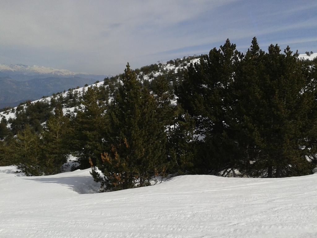Apartment Face Aux Pistes Greolieres les Neiges Zewnętrze zdjęcie
