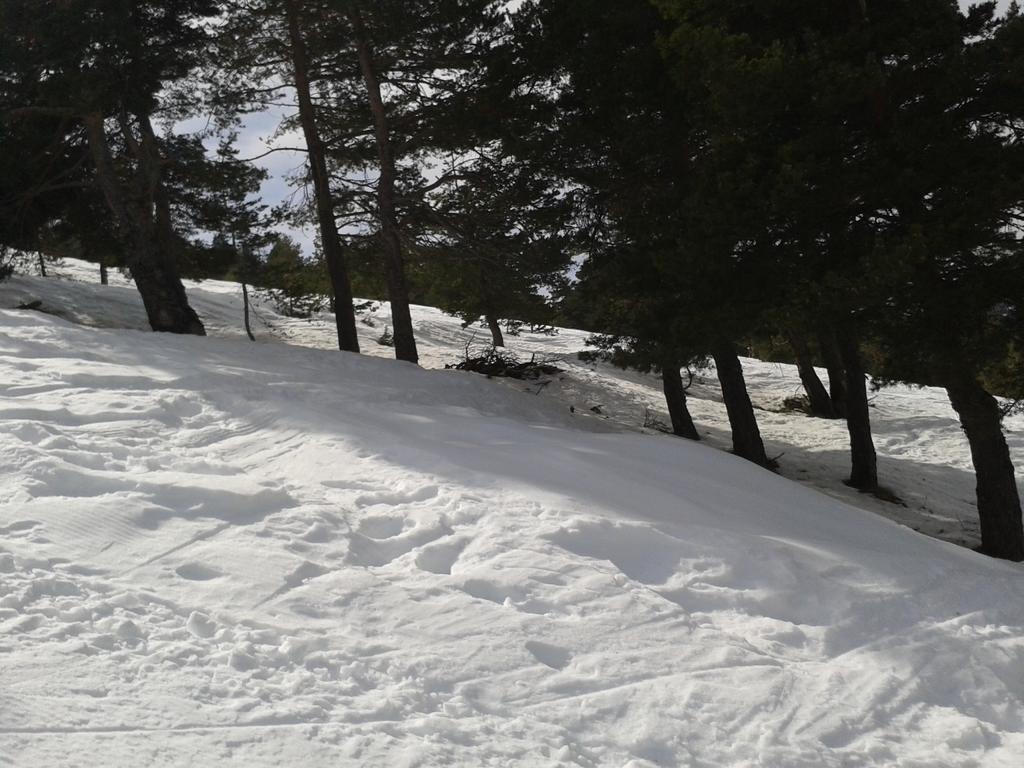 Apartment Face Aux Pistes Greolieres les Neiges Zewnętrze zdjęcie