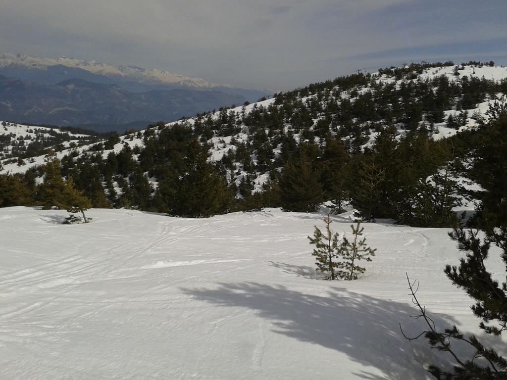 Apartment Face Aux Pistes Greolieres les Neiges Zewnętrze zdjęcie