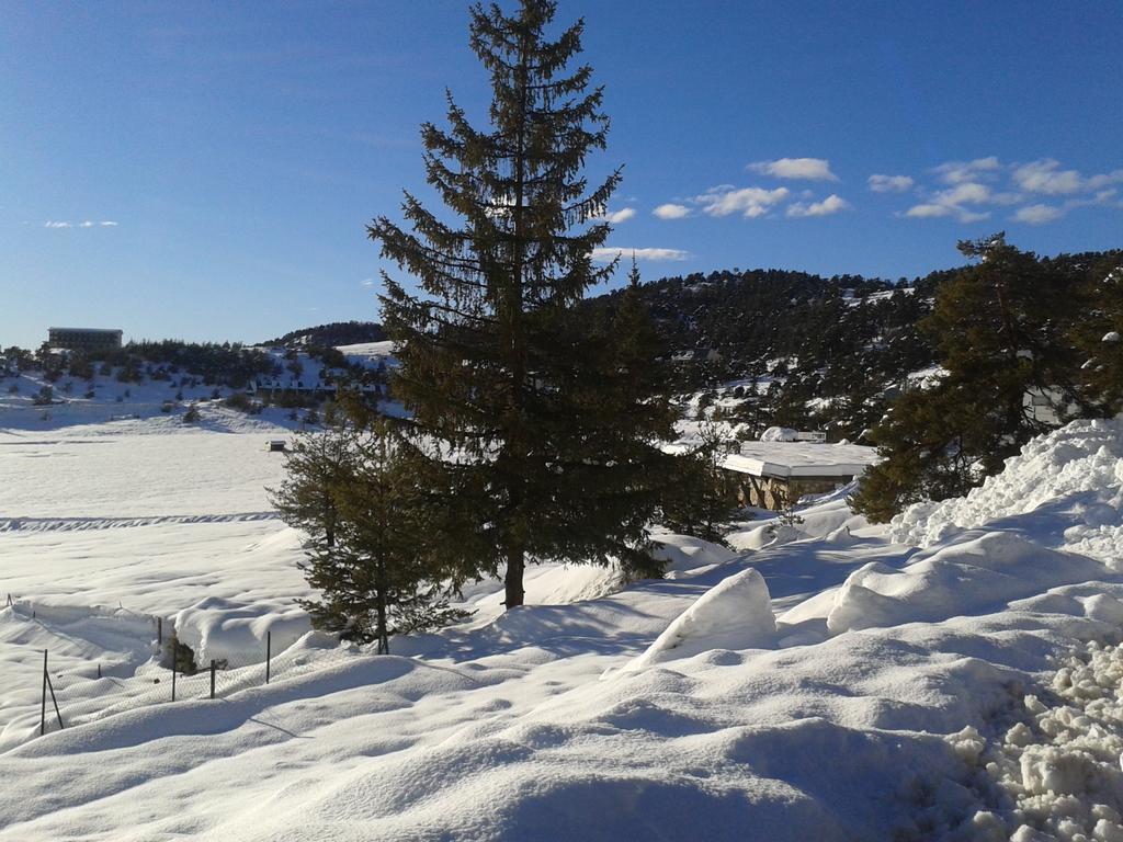 Apartment Face Aux Pistes Greolieres les Neiges Zewnętrze zdjęcie