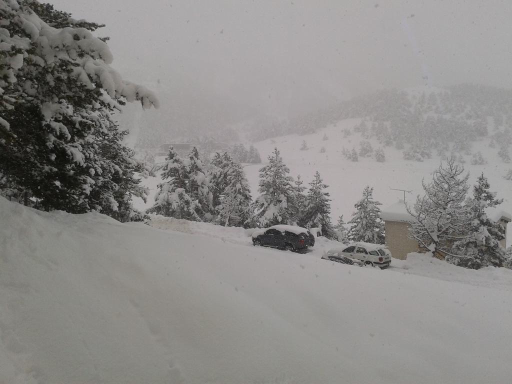 Apartment Face Aux Pistes Greolieres les Neiges Zewnętrze zdjęcie